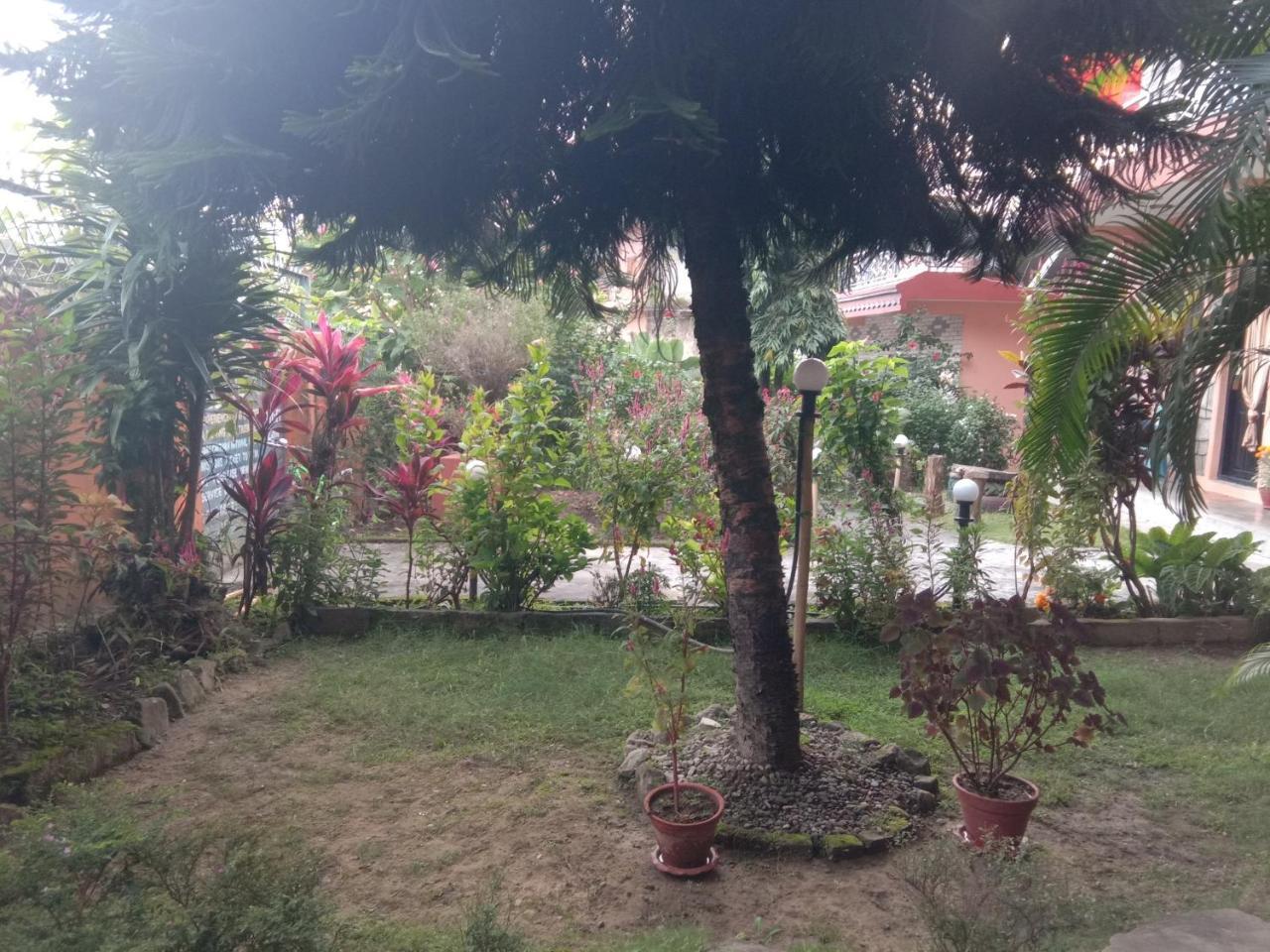Hotel Kalpana G. House Pokhara Esterno foto